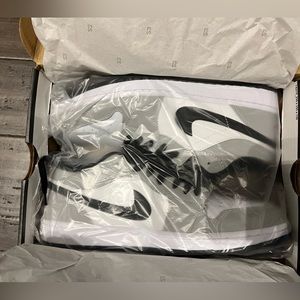 Brand New Air Jordan 1 Low